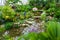 Pond and gardens at Phipps