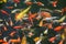 Pond with goldfish or Golden carp Japanese name-koi fish, Nishikigoi, Cyprinus carpio haematopterus in the pond, close-up of koi