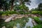 Pond at Greenbelt Park, Makati, Metro Manila, The Philippines.