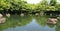 Pond in Himeji Garden