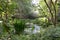 Pond at the Historical Manor Grasbeck, Walsrode, Lower Saxony