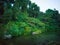 Pond at Jade Flower Island