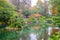 Pond in japanese garden of Kaiserslautern, Germany . KOI fish and amazing orange autumn