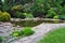 Pond with koi carps and landscape with blooming bushes around, botanical garden central alley, Kharkiv