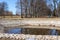 A pond in Kolomenskoye park and trees with no leaves in early spring.