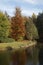 Pond landscape in autumn, Bad Iburg, Osnabrueck country region, Lower Saxony, Germany