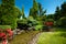 Pond in landscaped garden