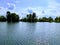 Pond life fishing on a hot day