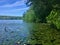 Pond with lily pads on a sunny day, Cape Cod, July 2020