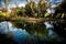 Pond on a local nature reserve