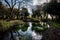 Pond on a local nature reserve