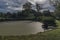 Pond in Lukov village in summer sunny morning