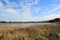 Pond near Hengistbury Head