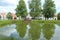 Pond near the village square,with  the reflection of trees in the water