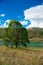 Pond nearby Brisbane city in Queensland, Australia. Australia is a continent located in the south part of the earth In summer time