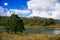 Pond nearby Brisbane city in Queensland, Australia. Australia is a continent located in the south part of the earth In summer time