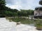 Pond next to the Spiral Lookout Tower, Tai Po waterfront park