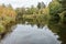 Pond In Normandy Park