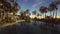 Pond and palm trees in desert oasis 3