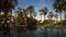 Pond and palm trees in desert oasis 4