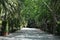 Pond and pavilion in The Concepcion Botanical Garden. Malaga. Andalusia. Spain