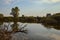 Pond in a peat bog with a log in the water and the reflection of the morning sky casted in the water