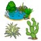Pond with piranhas, cactus, plants and stones
