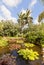 Pond in QE II Botanic Park on Grand Cayman Island