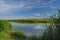 Pond with reeds, and fields in the background