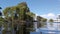 Pond with reflection waves of willow trees swaying