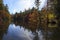 Pond Reflections