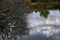 Pond Reflections, San Joaquin Wildlife Preserve, Irvine, California