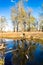 A pond reflects the fall trees. Fish Creek Provincial Park. Alberta Canada