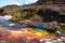 Pond on Roraima Tepui Summit, Gran Sabana, Venezuela