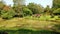 Pond in Royal Botanic Gardens, Peradeniya , Kandy , Sri Lanka