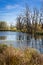 Pond Seachten with dead trees between lake Ammersee and lake Starnberger See