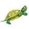 Pond slider turtle green smiling. vector illustration