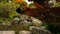 Pond with small waterfall in japan garden, focus on foreground