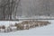 Pond in Snow Storm