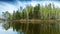 Pond in spring forest under clouds