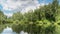 Pond in Summer Forest under Clouds