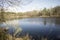 Pond on a sunny winter day