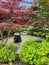 A pond surrounded by beautiful trees and plants in the middle of nature