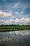 Pond surrounded by trees in a field on a rainy day in Isaan, Thailand