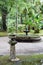 Pond in Terra Nostra Park in Furnas, Sao Miguel, Azores