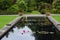 Pond, Tintinhull Garden, Somerset, England