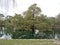 Pond and trees at Audubon Park, New Orleans