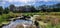 Pond and trees at Clear Creek Trail in Silverdale Washington