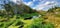 Pond and trees at Clear Creek Trail in Silverdale Washington