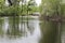 The pond, trees and hut